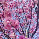 글라스매니아 위드 렌즈 불당점 이미지