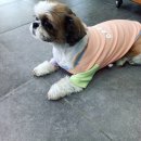헤메드(hermed) 헤어