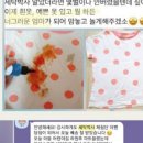 세탁박사 이미지