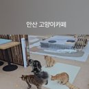 쿤이네집 이미지