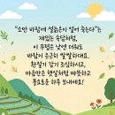 백화등 이미지