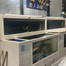 고니네회수산
