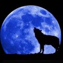 블루문(BlueMoon) 이미지