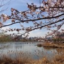 여기산공원 사거리 이미지