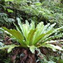 삼도제주 이미지