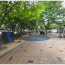 민들레어린이공원 이미지