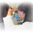 굿모닝보청기(서대전점) 이미지