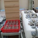 원평한의원 이미지