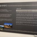 안동종가집갈비 이미지