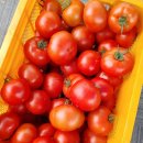 오건농장