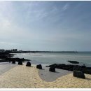 세화 정원 이미지