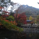 재선농장 이미지