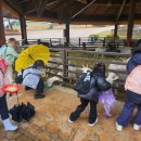 한림동물병원 이미지