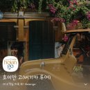 대가주 다기능회관 | 호이안🇻🇳호이안 고 버기카투어 | 90분 타고 또 탄 120분 솔직 후기