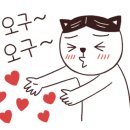 단미청 이미지
