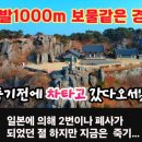 노루모TV