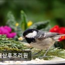 유재산후조리원 이미지