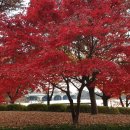 강남종로엠독학기숙학원 | 밀도있는 학습 체계 경기도기숙사학원 강남종로엠기숙학원