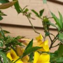 세븐일레븐(김해진영주천점) 이미지