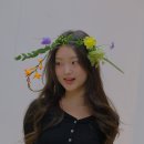 리스헤어 이미지