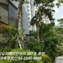 답십리코코약국 이미지