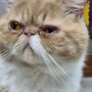 하트만동물병원 이미지