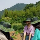 금구초교 이미지