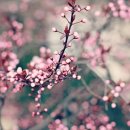 검단한의원 이미지