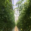 거기농장 이미지