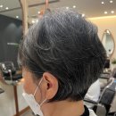 이가자헤어비스 롯데백화점분당점 네이버블로그