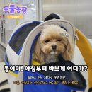 신디농장 이미지