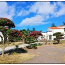 메이플하우스 펜션 이미지