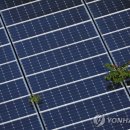 대한2 태양광발전소 이미지