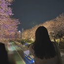 &#34;&#39;백년만에 첫눈이 왔어요.&#39; 라고 했다&#34;