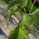 목원농장 이미지