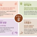 그린팟 이미지