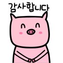 참새 노래연습장 이미지