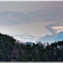 진상농원 Daum카페