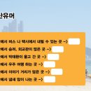 감전제일상가 이미지