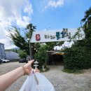 팀 다다 | 양산맛집 석계 다다물회 자연산 참가자미물회 포장 후기