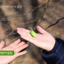 숲과함께협동조합 이미지
