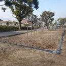 쌍치초등학교 이미지