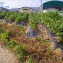 학운리보건진료소 이미지