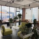 카페지유 이미지