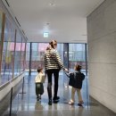 드림어린이집 이미지