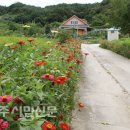 병산1리 이미지