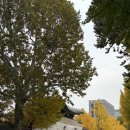 세븐일레븐 종로창성점 이미지