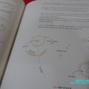 손뜨개로 만나는 소품 만들기 네이버블로그
