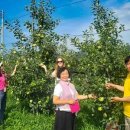 이용준농장 이미지