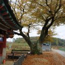 백봉이민진정려 이미지